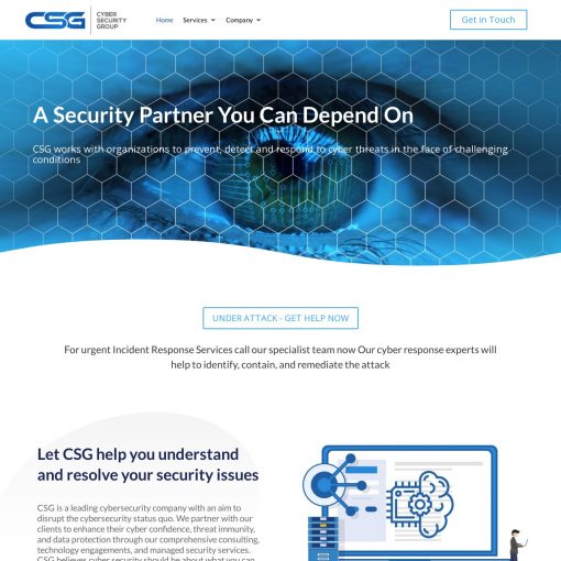 SET UP A CYBER SECURITY WEBSITE