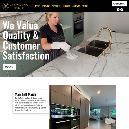 SET UP A HOME CLEANING WEBSITE