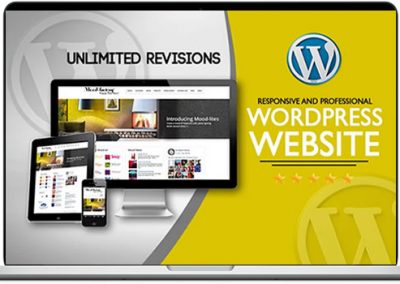 WordPress Divi Website Design