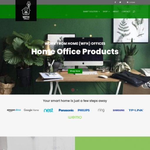 SET UP A ONLINE STORE WEBSITE